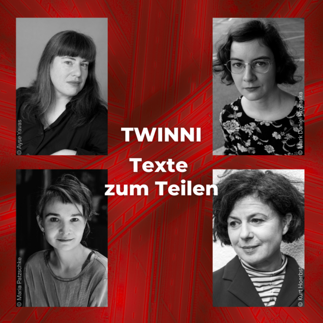 Beitragsbild für Twinnie
